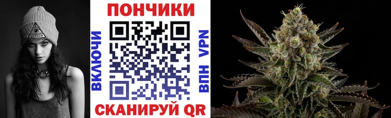 Бошки Шишки сатива  Купить закладки  Цивильск 